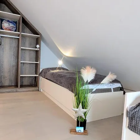 Friesenstern Dangast